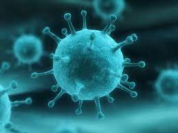 Gripe (influenza): causas, sintomas, tratamento, diagnóstico e prevenção |  Lab Tests Online-BR